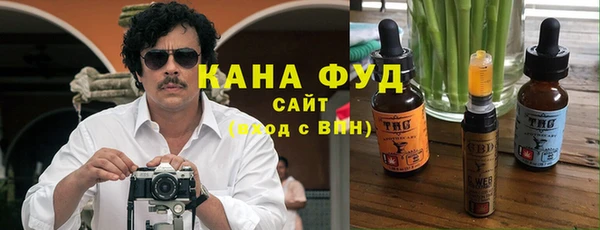 хмурый Магас