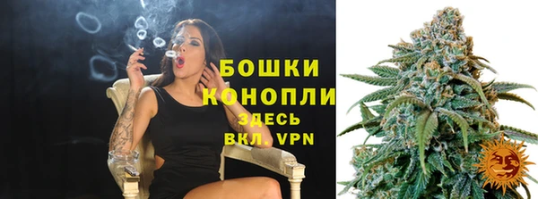 хмурый Магас