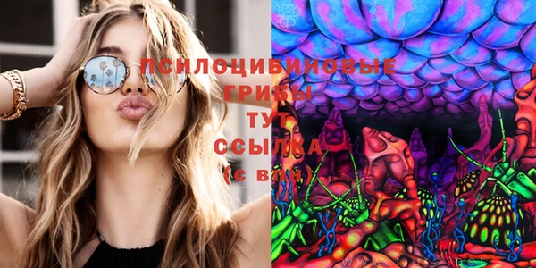 альфа пвп Мурманск