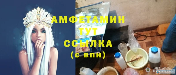 хмурый Магас