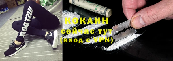 хмурый Магас