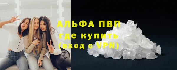 хмурый Магас