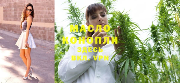 хмурый Магас