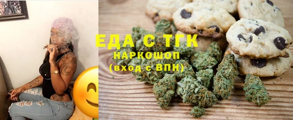 хмурый Магас