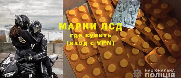хмурый Магас