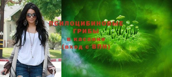хмурый Магас